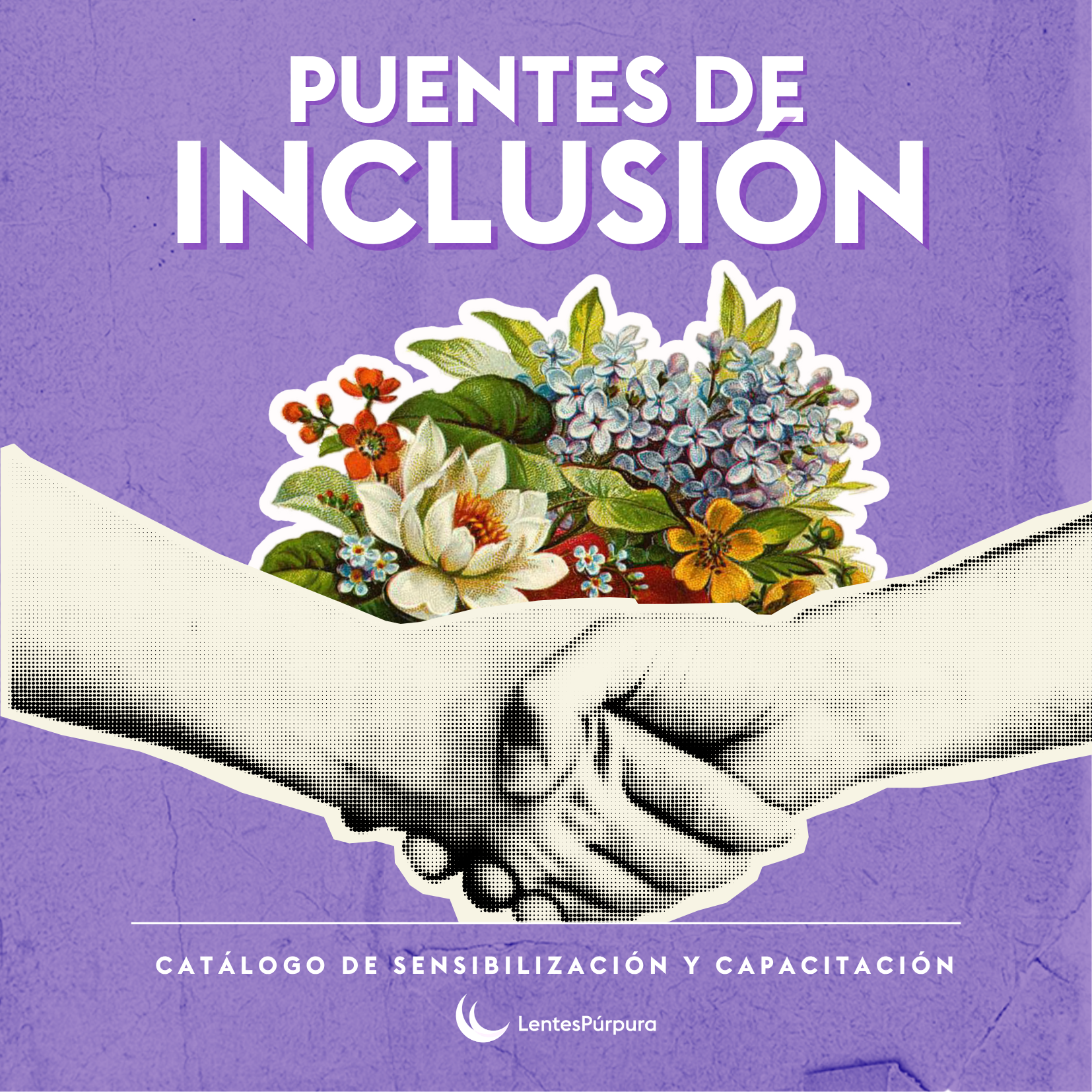 Puentes de inclusión